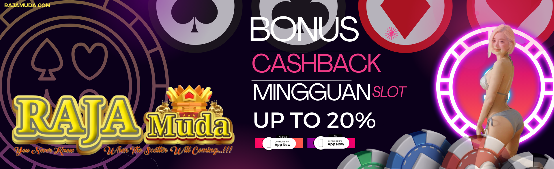 Cash Back 20%